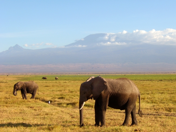 Kenya - Os 10 Melhores Destinos de Lua-de-mel